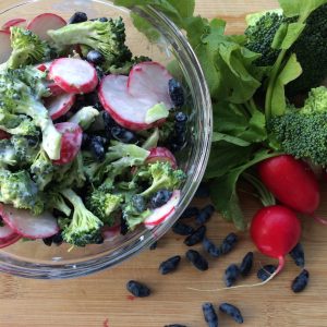 Salade brocoli, radis et camerises